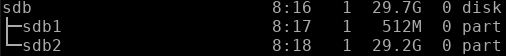 RPi filesystem's lsblk output.