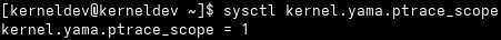 Yama scope level 1 output.