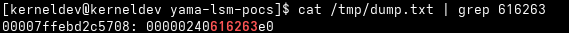 Scope level 1: dumped output.